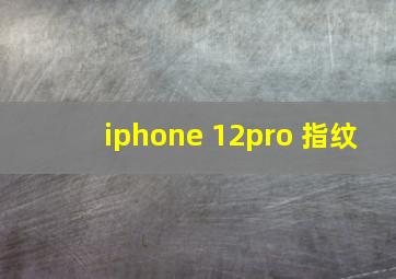 iphone 12pro 指纹